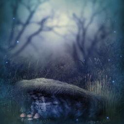 奇幻 背景,奇幻世界的传奇冒险之旅