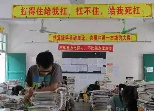 娱乐吃瓜酱高中开学,揭秘高中生的娱乐生活