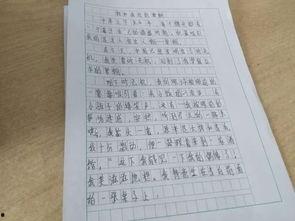 吃瓜大赛作文两轮,两轮角逐，瓜界风云再起