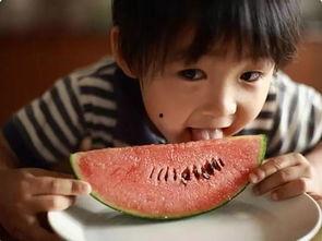 娱乐吃瓜酱这就是夏天,娱乐吃瓜酱带你领略这就是夏天的魅力