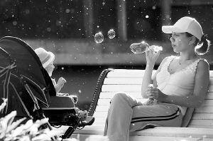 白杨树的花絮,春日里的诗意飘扬